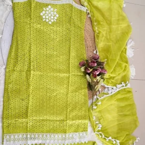 Elegant Lime Green Embroidered Suit Set